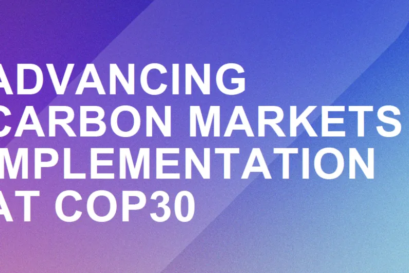 IETA publishes COP30 Policy Paper, Advancing Carbon Markets Implementation at COP30