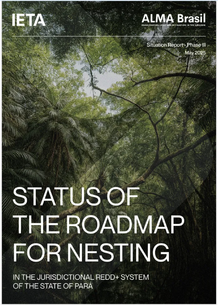 ALMA Brasil - Status of the Roadmap for Nesting
