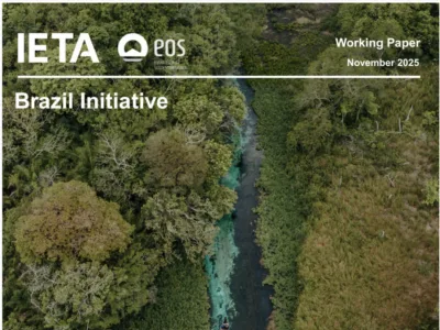 Socio-Economic Impacts of Carbon Market Frameworks for Brazil