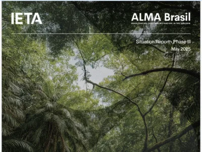 ALMA Brasil - Status of the Roadmap for Nesting
