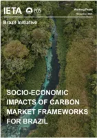 Socio-Economic Impacts of Carbon Market Frameworks for Brazil