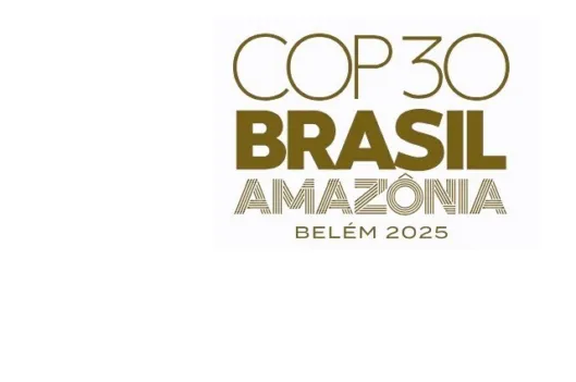 Pre-COP30 briefing webinar