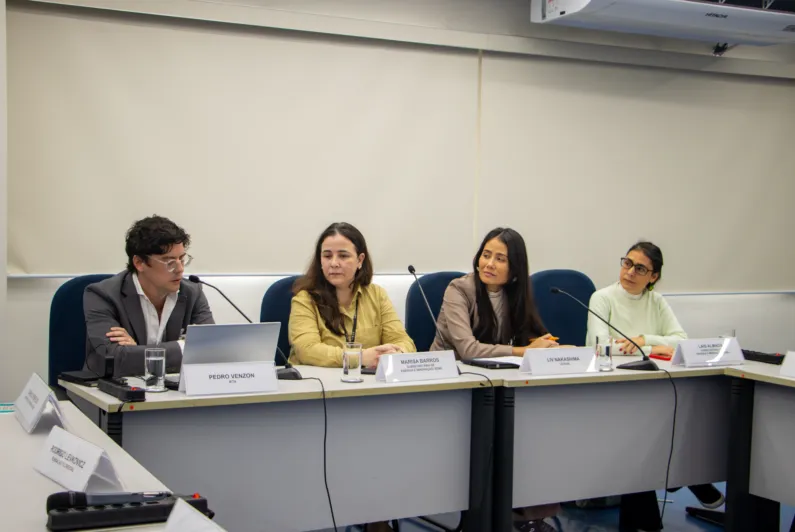 IETA and São Paulo host workshop on preparing for Brazil’s emissions trading system