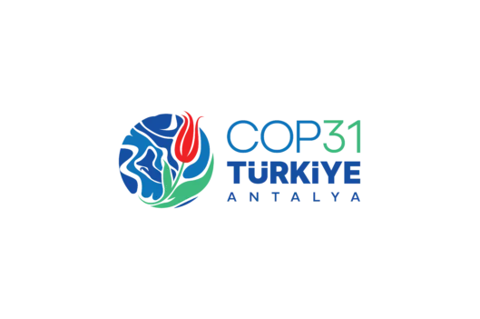 COP31 IETA Business Pavilion
