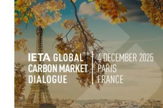 IETA GLOBAL Carbon Market Dialogue