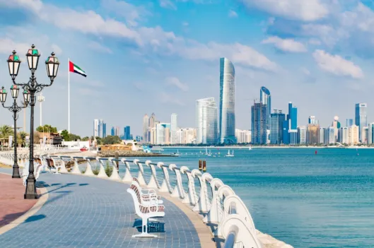 IETA MENA CARBON MARKET DIALOGUE