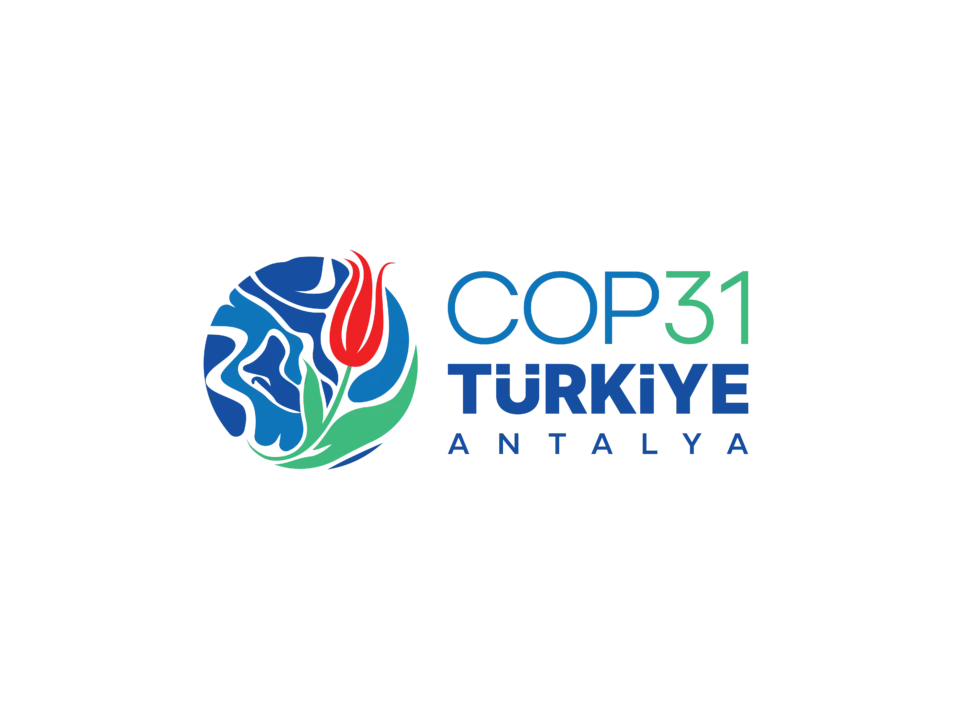 COP31 Debrief Webinar