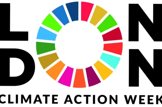 IETA London Carbon Market Dialogue