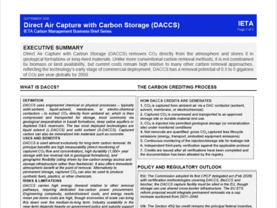 Carbon Management Business Brief on Direct Air Capture with Carbon Storage (DACCS)