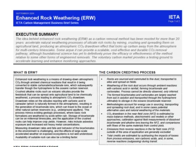 Carbon Management Business Brief on Enhanced Rock Weathering (ERW)