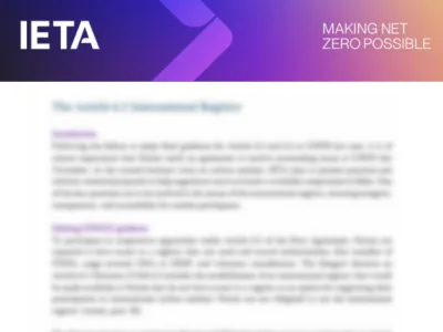 IETA Article 6 Policy Briefs Ahead of COP29 – Authorisation