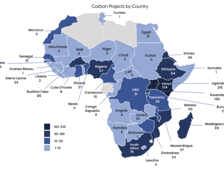 CARBON MARKETS ARE CRITICAL TO BRIDGE AFRICA’S CLIMATE FINANCE GAP