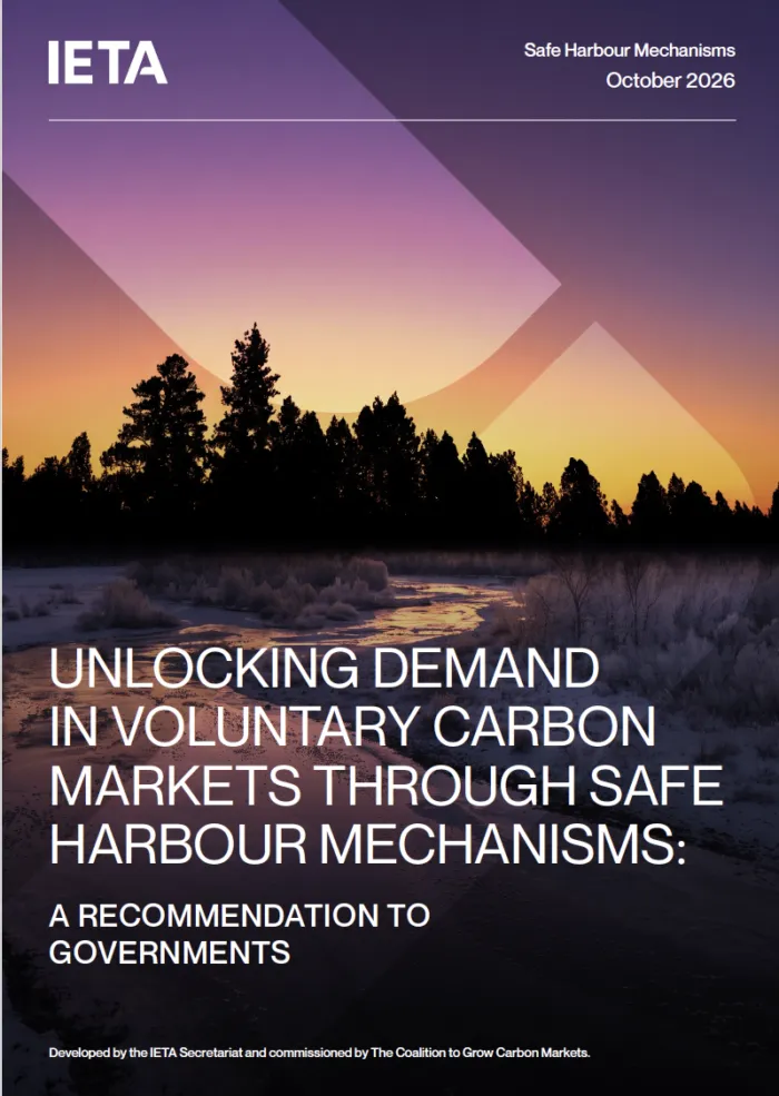 IETA calls on governments to offer safe harbour to companies using carbon credits