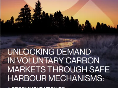 IETA calls on governments to offer safe harbour to companies using carbon credits
