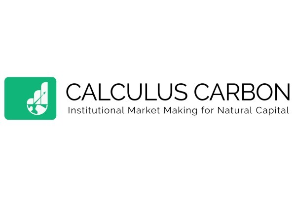 Calculus Carbon